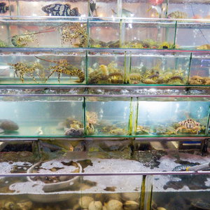 Sejur Night Sea Hotel vacanta Phu Quoc