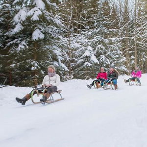 Hotel Symposion Hotel Post cazare Traunkirchen