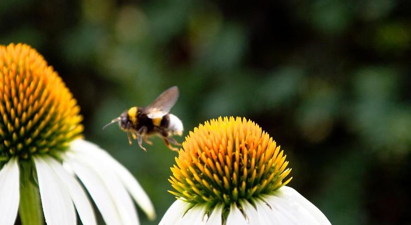 Hotel Bauernhofpension Herzog Zu Laah
