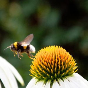 Hotel Bauernhofpension Herzog Zu Laah cazare Ansfelden