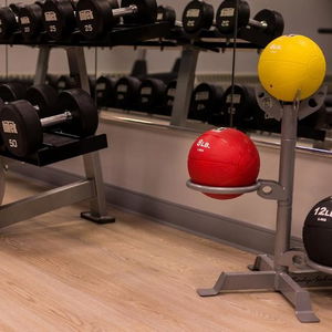 Hotel Sonesta Chicago O'hare Airport Rosemon cazare Rosemont