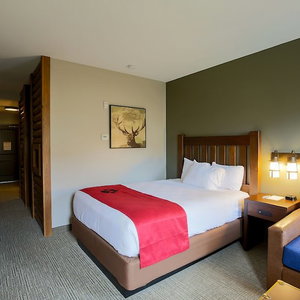 Hotel Great Wolf Lodge Chicago/Gurnee cazare Gurnee