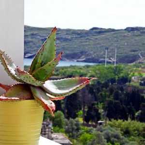 Sejur Anemomiloi Studios vacanta Andros