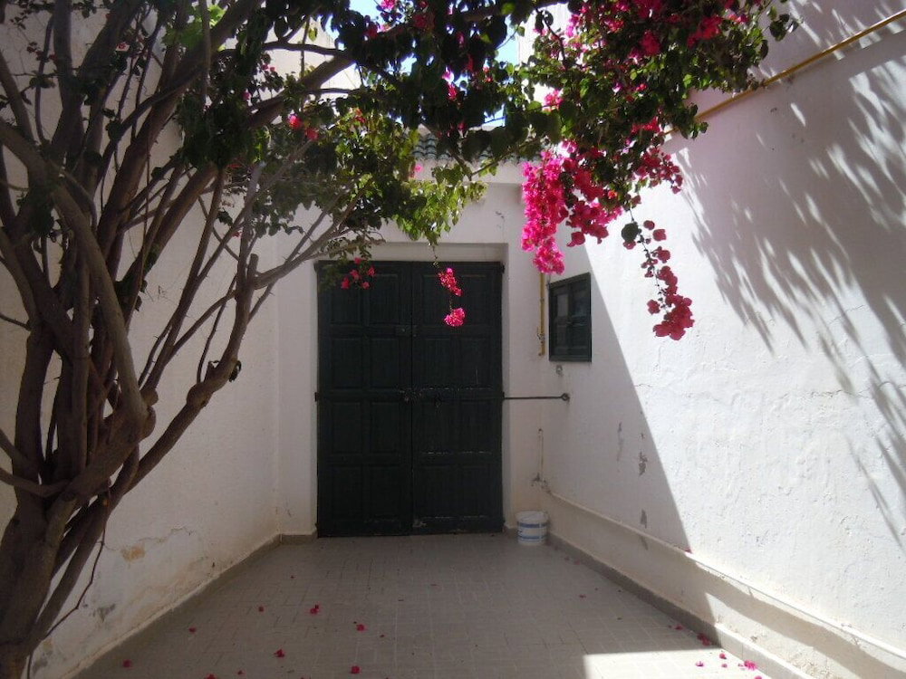 House With Garden Wala