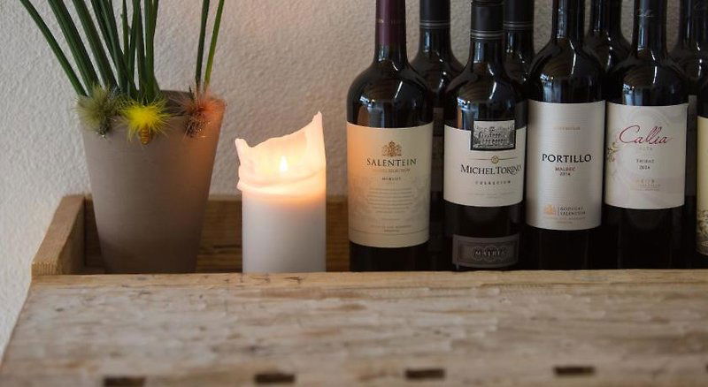 Hotel Piltriquitron Shelter