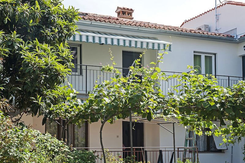 Hotel Apartment And Studio Tereza