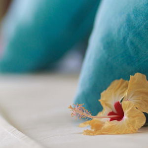 Sejur Coco Blanche vacanta Anse Royale