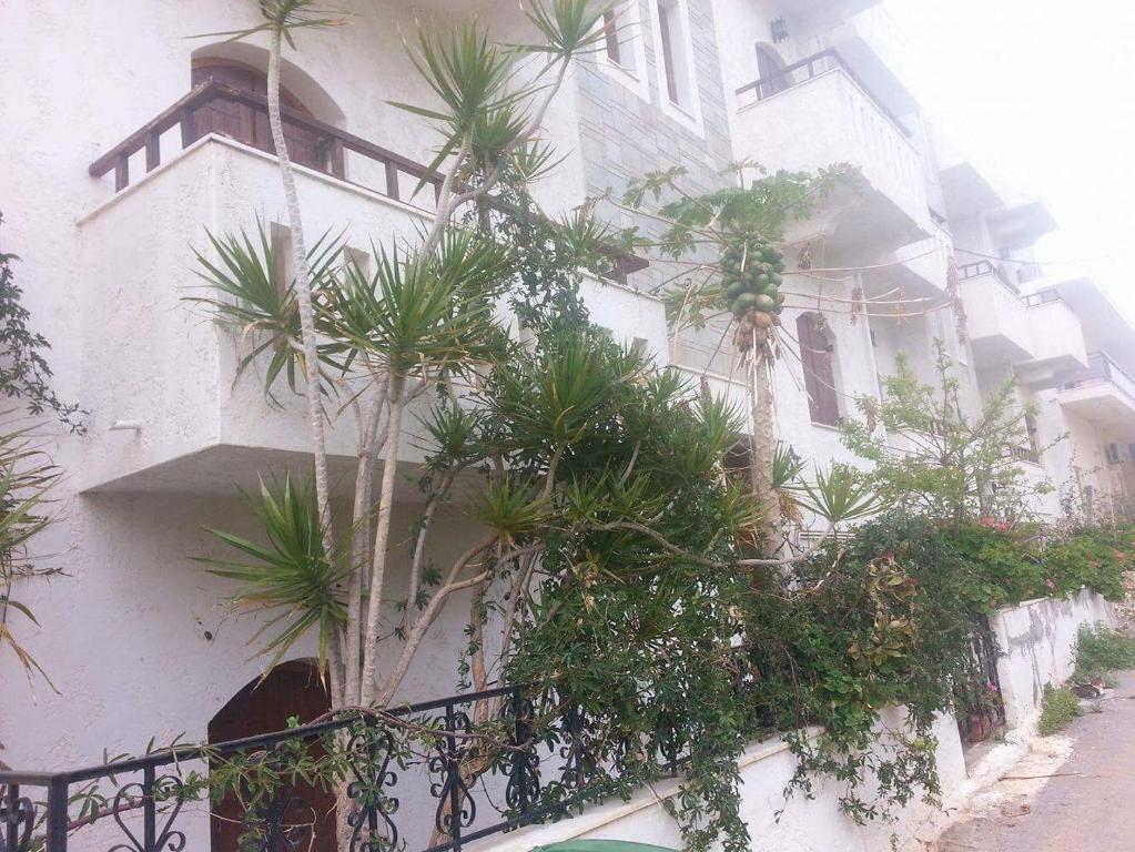 dal travel Irene Apartments