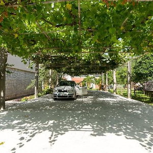 Hotel Apartments Elena cazare Budva