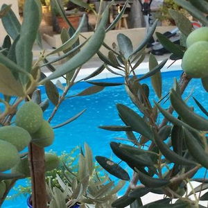 Hotel B&B Jetizo cazare Ontinyent