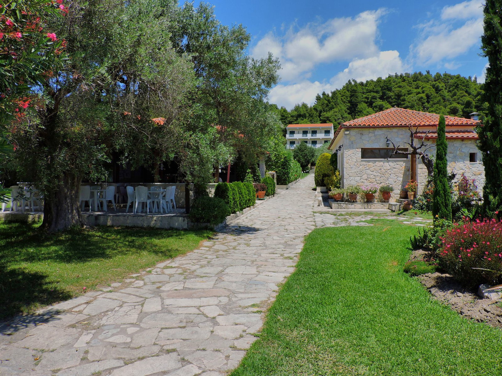 Hotel Julia Hotel Chalkidiki
