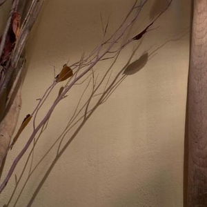 Hotel Lithos Homes cazare Chios