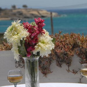 Hotel Plaza Studios cazare Agia Anna