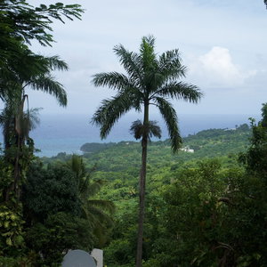 Hotel Panorama Villa cazare Port Antonio