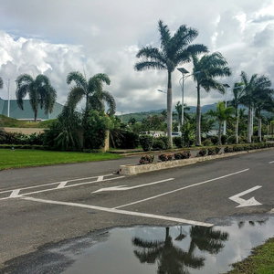 Hotel Oceanic View Apartment At Fern Court cazare Saint Ann's Bay
