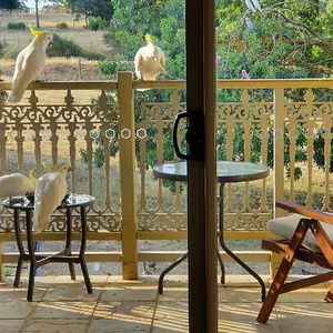 Hotel Amble At Hahndorf cazare Hahndorf