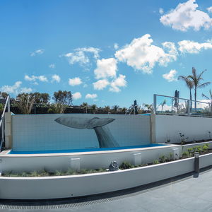 Hotel Whales Bay Hotel Apartments cazare Ponta Delgada