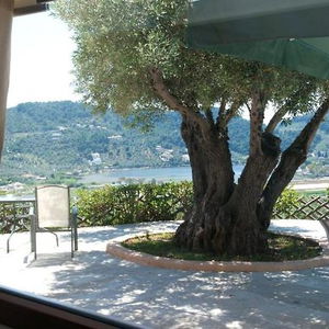 Hotel Apartments Villa L&M Skiathos cazare Skiathos