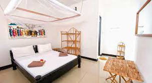 Hotel Papaya Guest House Nungwi cazare Nungwi