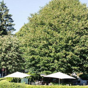 Hotel Beethoven cazare Lower Austria