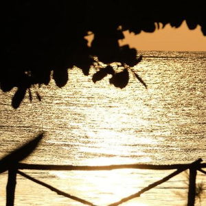 Hotel Vrclub - Paje Palms Beach Resort cazare Paje