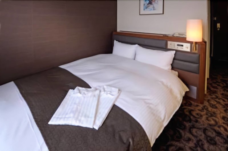 Hotel Hotel Plaza Kachigawa