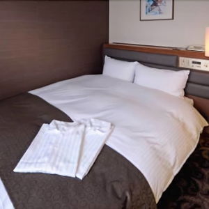 Hotel Hotel Plaza Kachigawa cazare Kasugai