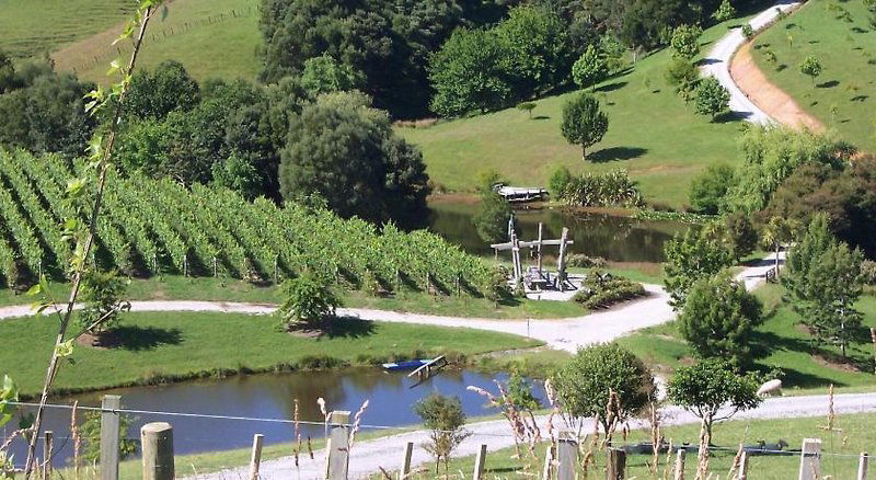 Hotel Snells Beach Motel