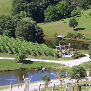 Hotel Snells Beach Motel cazare Snells Beach