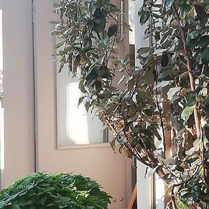 Sejur Speires vacanta Naxos