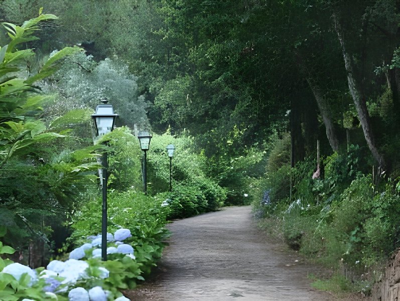 Quinta Das Escomoeiras