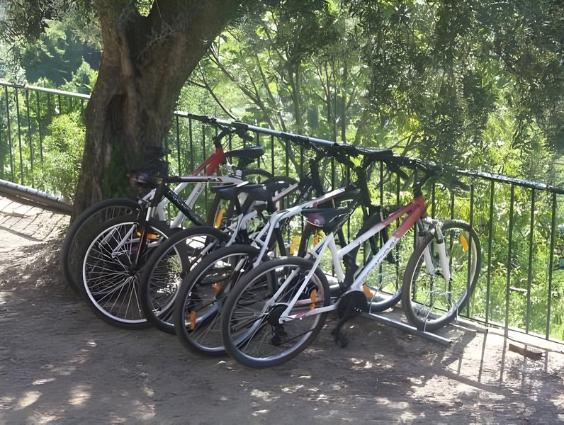 Quinta Das Escomoeiras