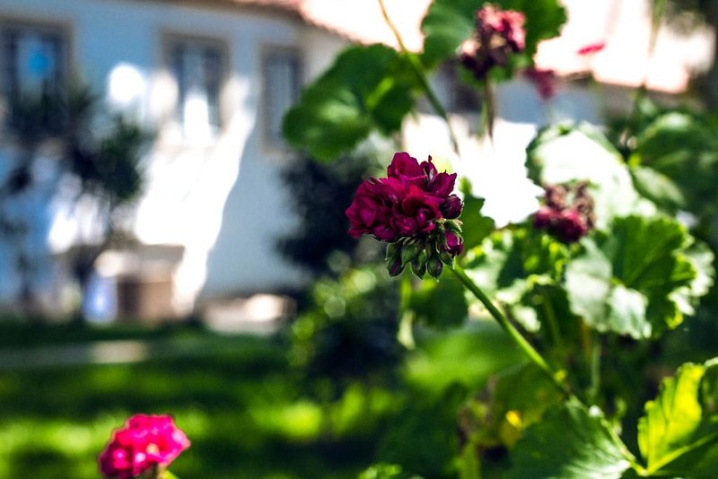 Hotel Lavandeira Douro Nature & Wellness