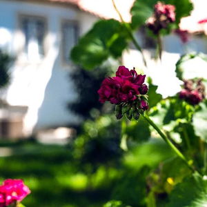 Hotel Lavandeira Douro Nature & Wellness cazare Baiao