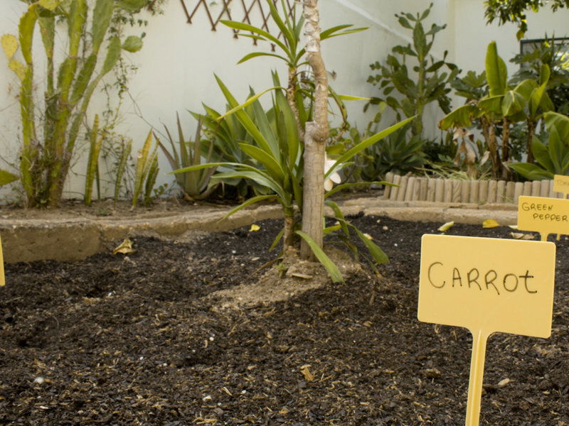 Hotel Well'come To The Backyard House