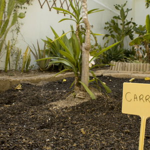 Sejur Well'come To The Backyard House vacanta Faro