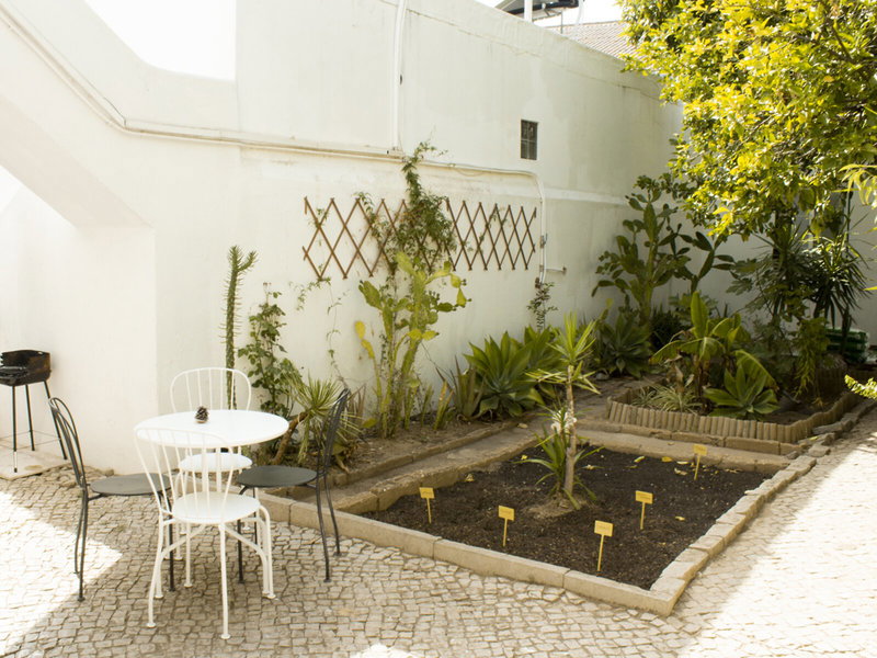 Well'come To The Backyard House