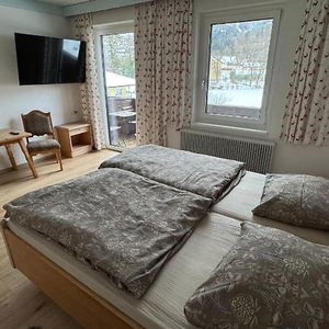 Hotel Botenwirt cazare Spital am Pyhrn