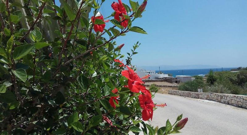 Hotel Nicos Studios And Apartments