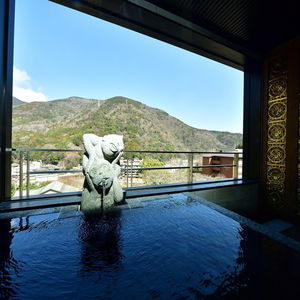 Hotel Hakone Airu cazare Hakone