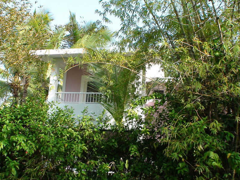 Hotel Hotel Riu Bambu