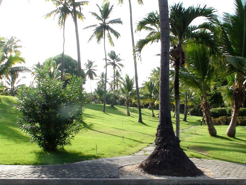 Hotel Hotel Riu Palace Macao