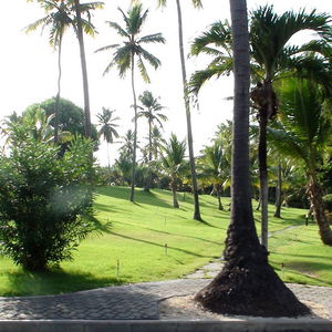 Hotel Hotel Riu Palace Macao cazare Punta Cana