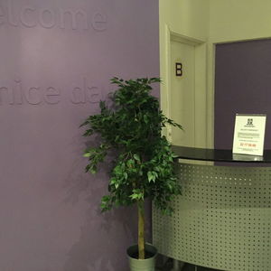 Hotel Bergen Budget Hotel cazare Bergen