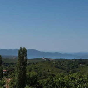 Hotel Arxontiko Mytilineou Skretaion cazare Pyli