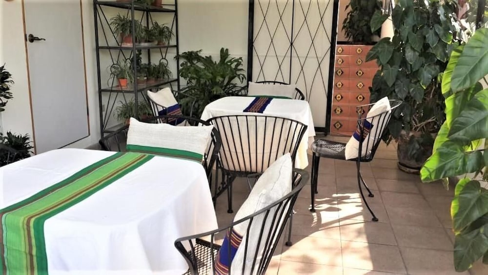 Hotel Árbol De Fuego Eco-Hotel, A Green Experience In The City