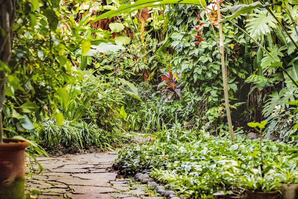 Árbol De Fuego Eco-Hotel, A Green Experience In The City