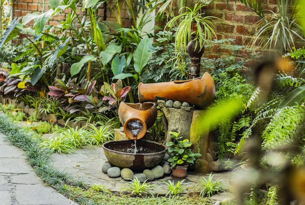 Árbol De Fuego Eco-Hotel, A Green Experience In The City