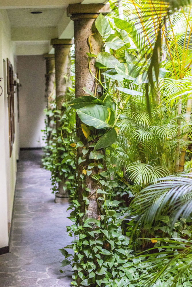 Árbol De Fuego Eco-Hotel, A Green Experience In The City