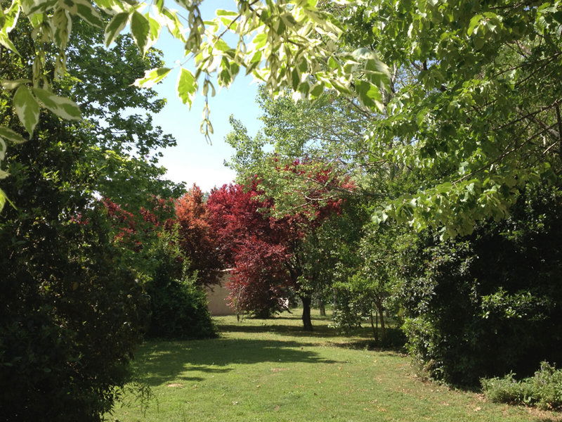 Hotel Hotel Molí De L'escala